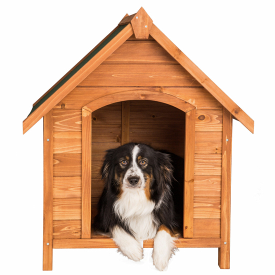 Fa kutyaház, nyitható sátortetős