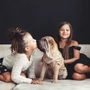 Kép 7/7 - Kutyakennel kivehető padlóval L méretben