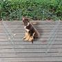 Kép 1/5 - Mobil kültéri kennel 60 x 60 cm, Kültéri mobil kennel